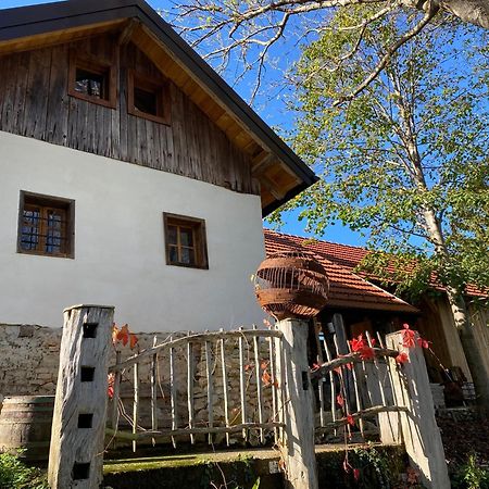 Estate Ana Guest House Птуй Екстериор снимка