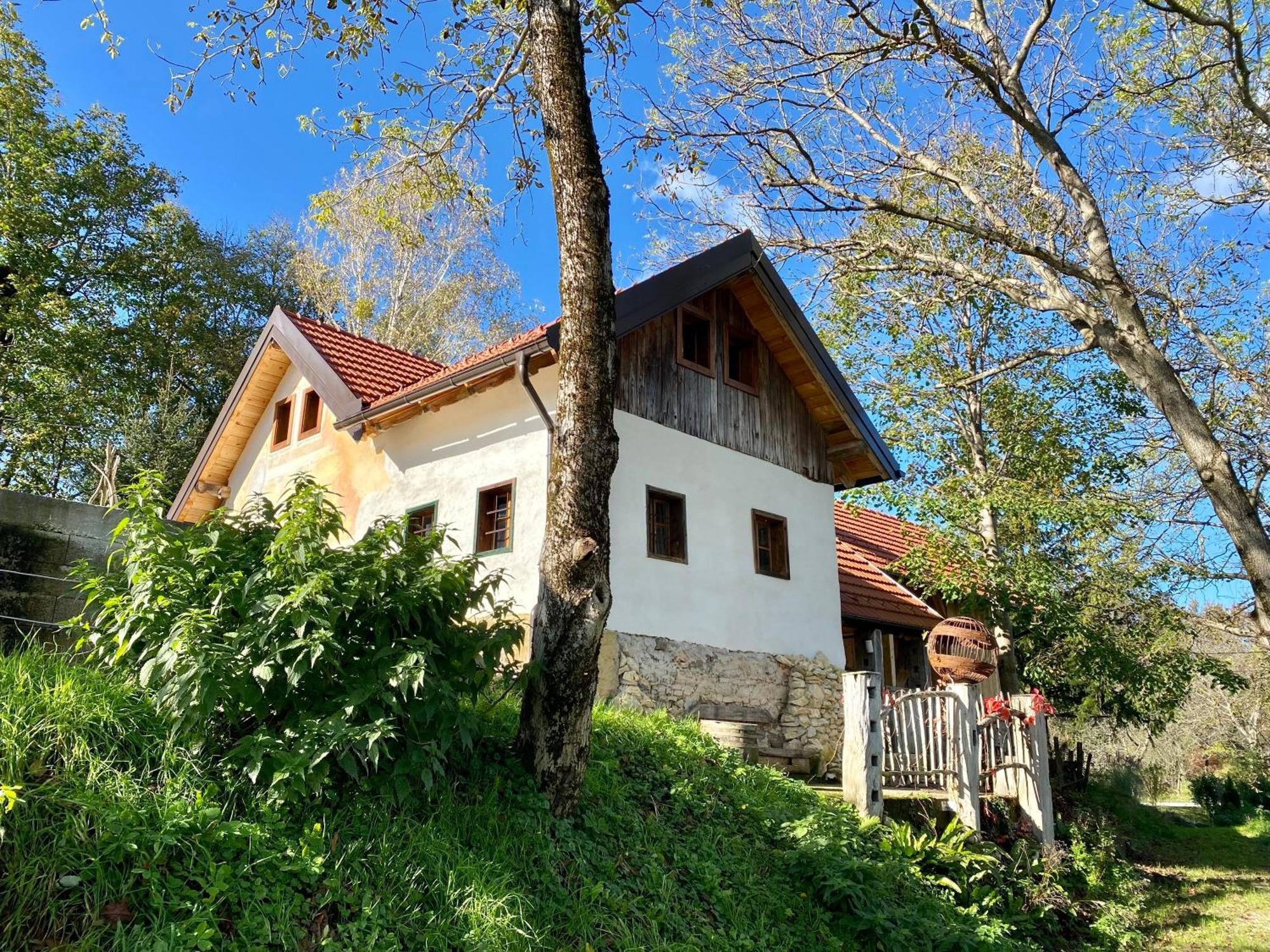 Estate Ana Guest House Птуй Екстериор снимка