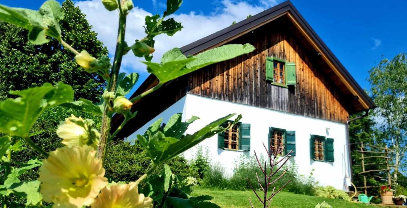 Estate Ana Guest House Птуй Екстериор снимка