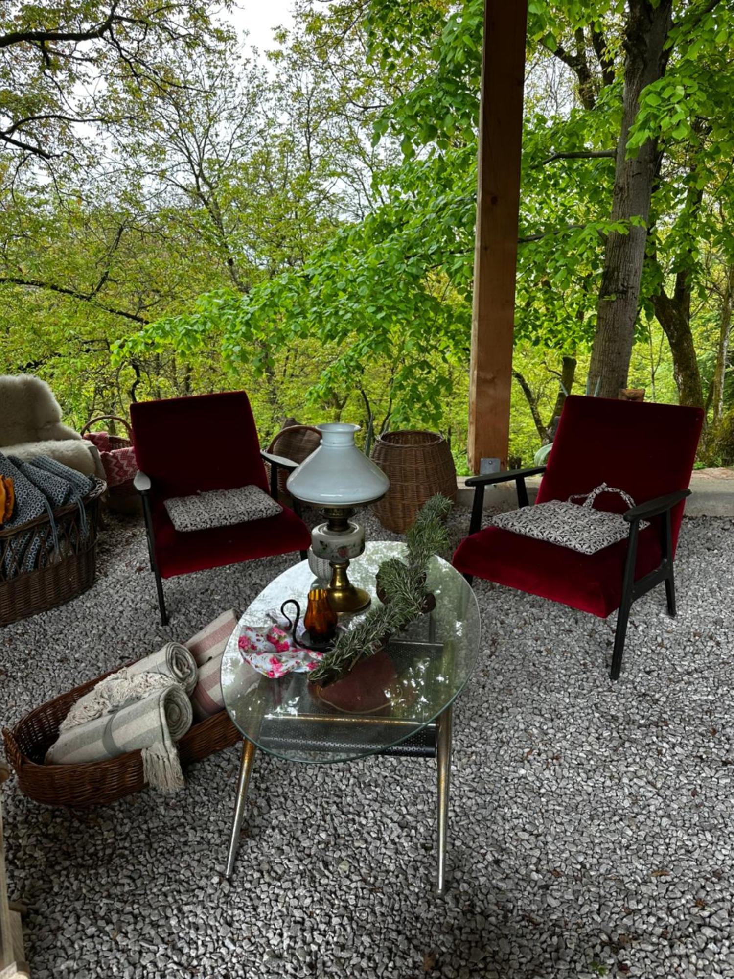Estate Ana Guest House Птуй Екстериор снимка